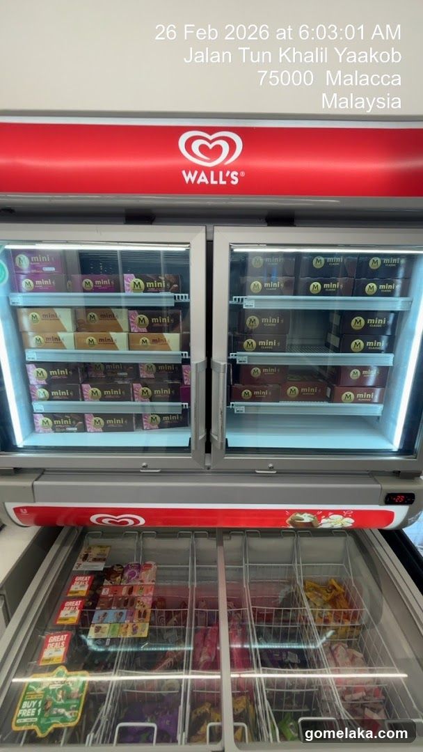 Wall's Ice Cream Freezers