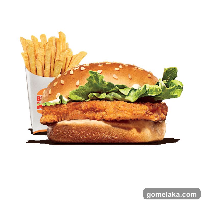 Chicken burger and fries