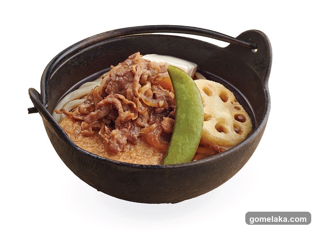 Beef and Udon Noodle Bowl