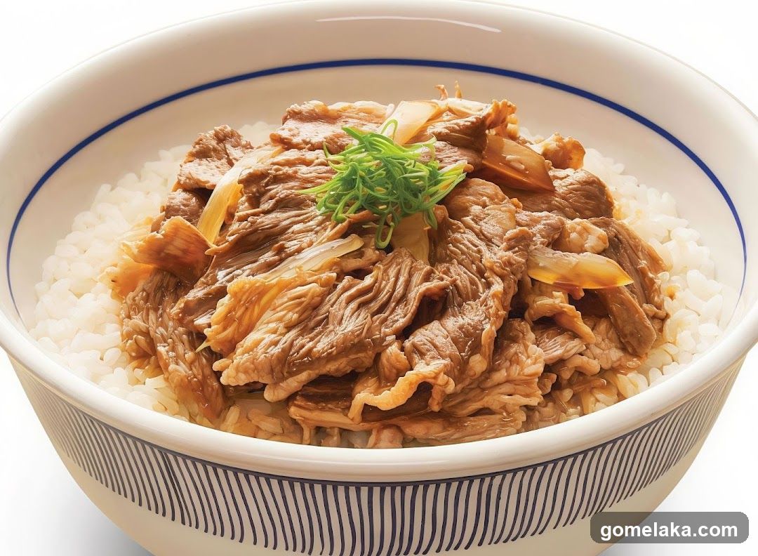 Beef and Rice Bowl
