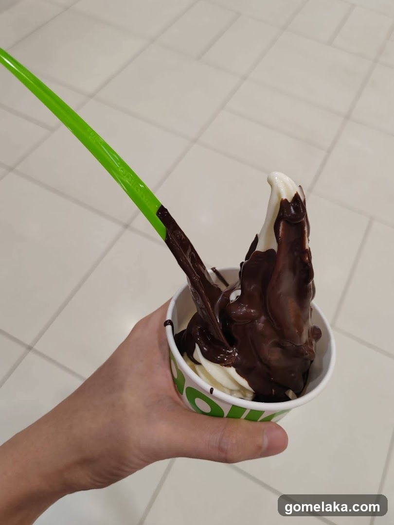 Soft Serve Ice Cream with Chocolate Drizzle