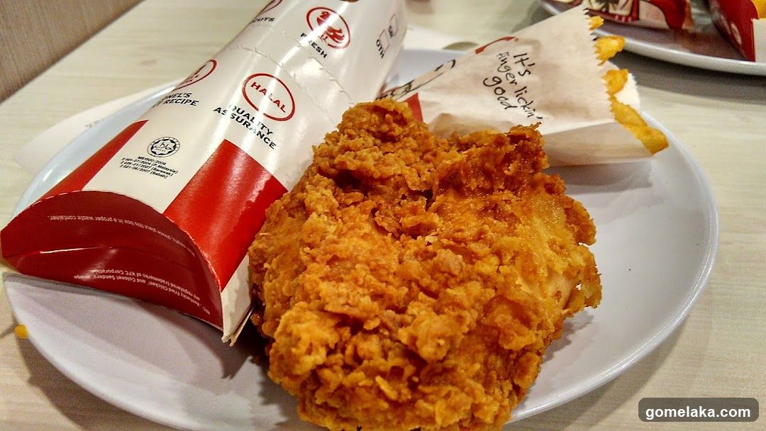 Fried Chicken and Fries