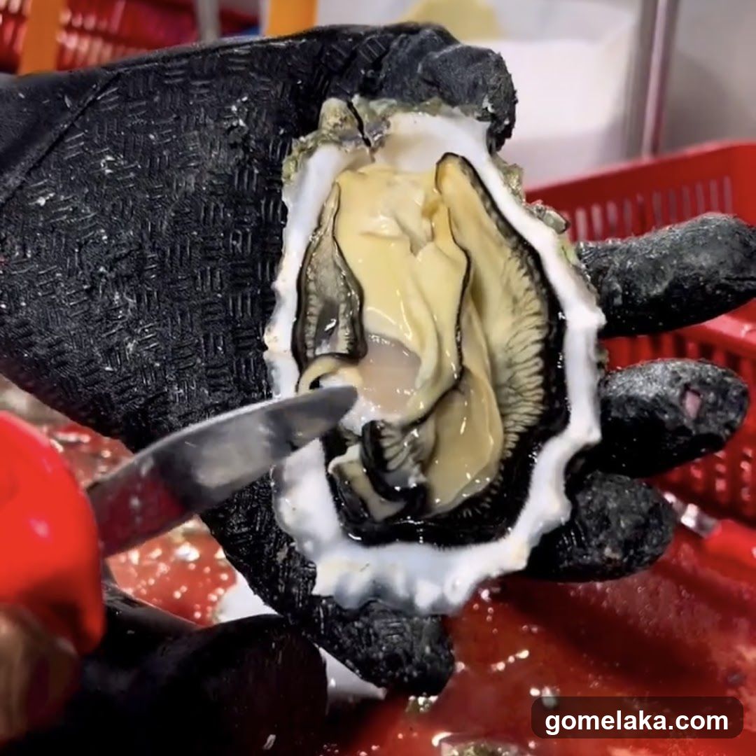 Oyster being opened