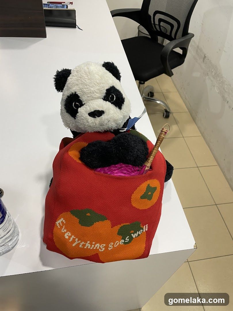 Panda plush in red bag on desk
