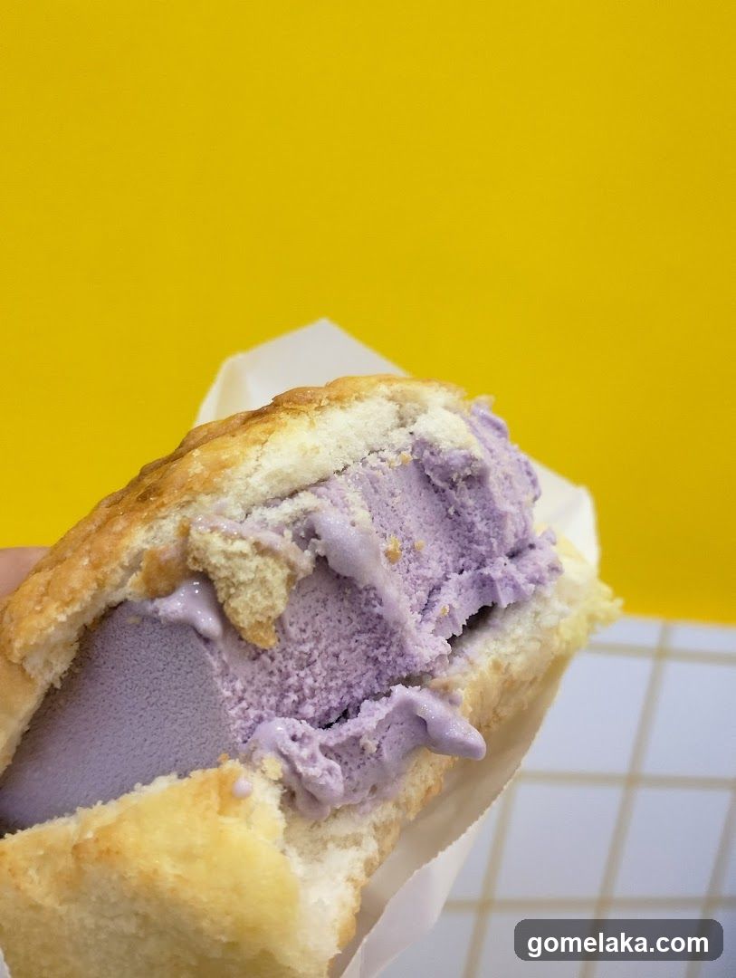 Ice cream sandwich
