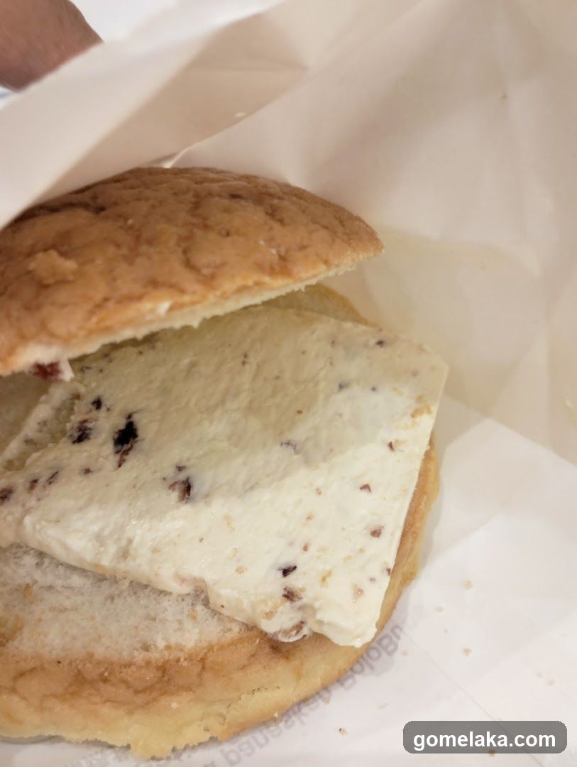 Ice cream sandwich