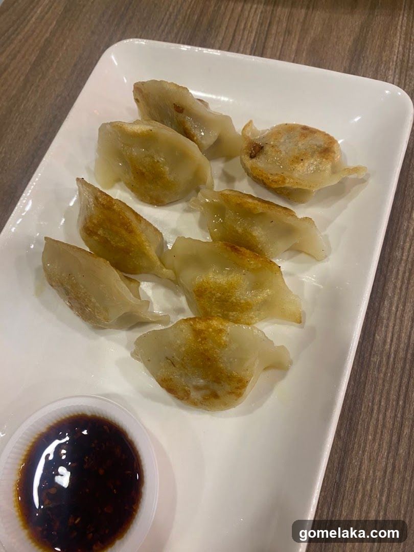 Gyoza Dumplings with Sauce