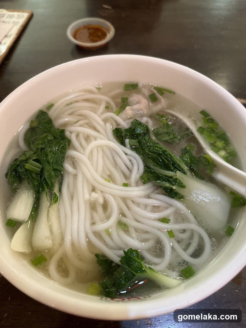 Bowl of Noodle Soup