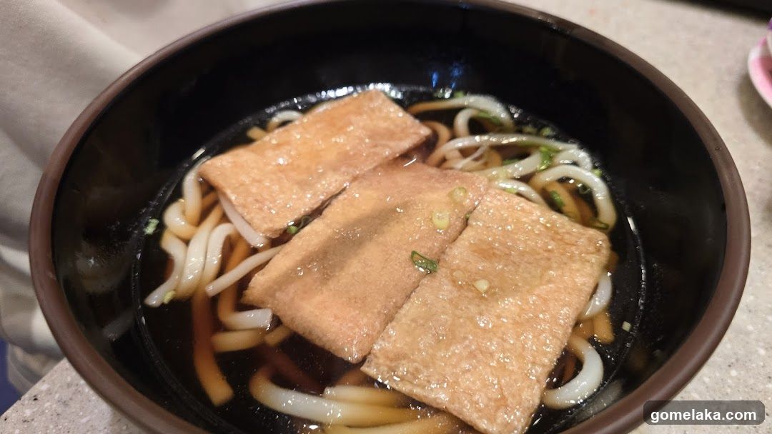 Udon Noodle Bowl