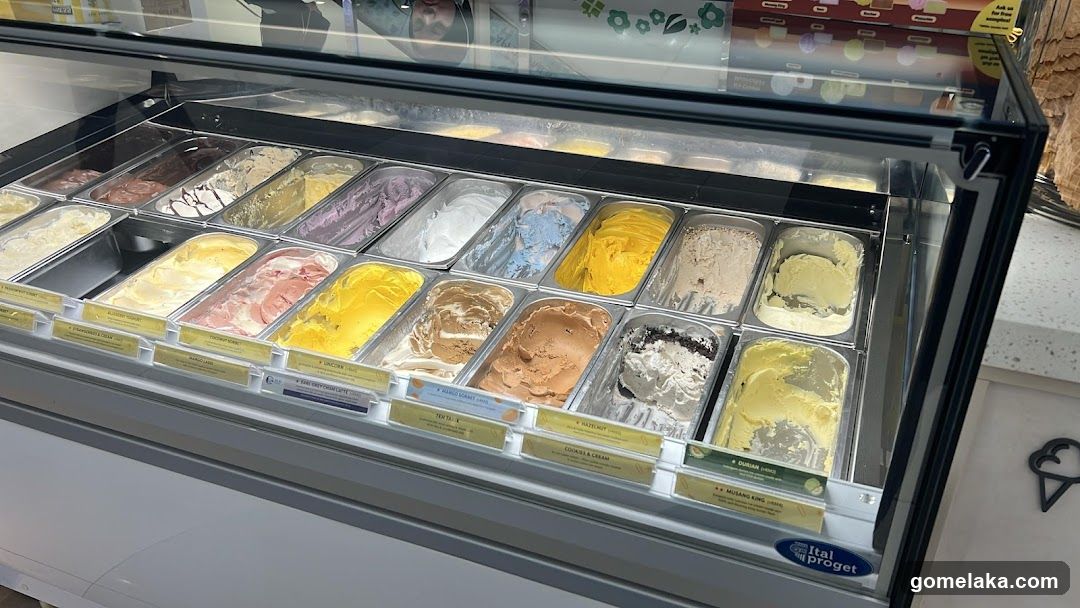 Ice Cream Display Case