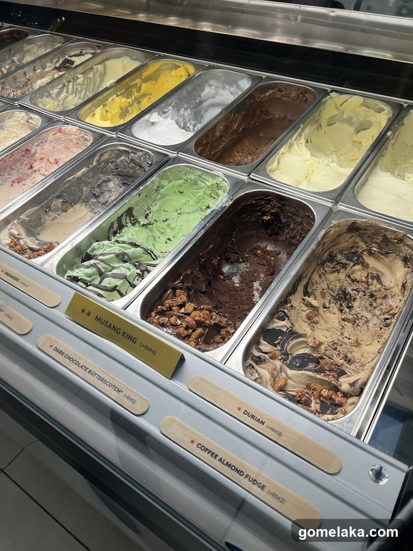 Ice Cream Display Case