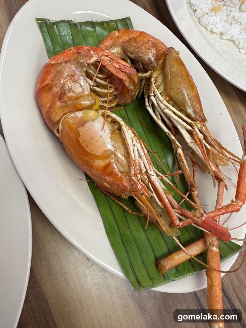 Food Presentation