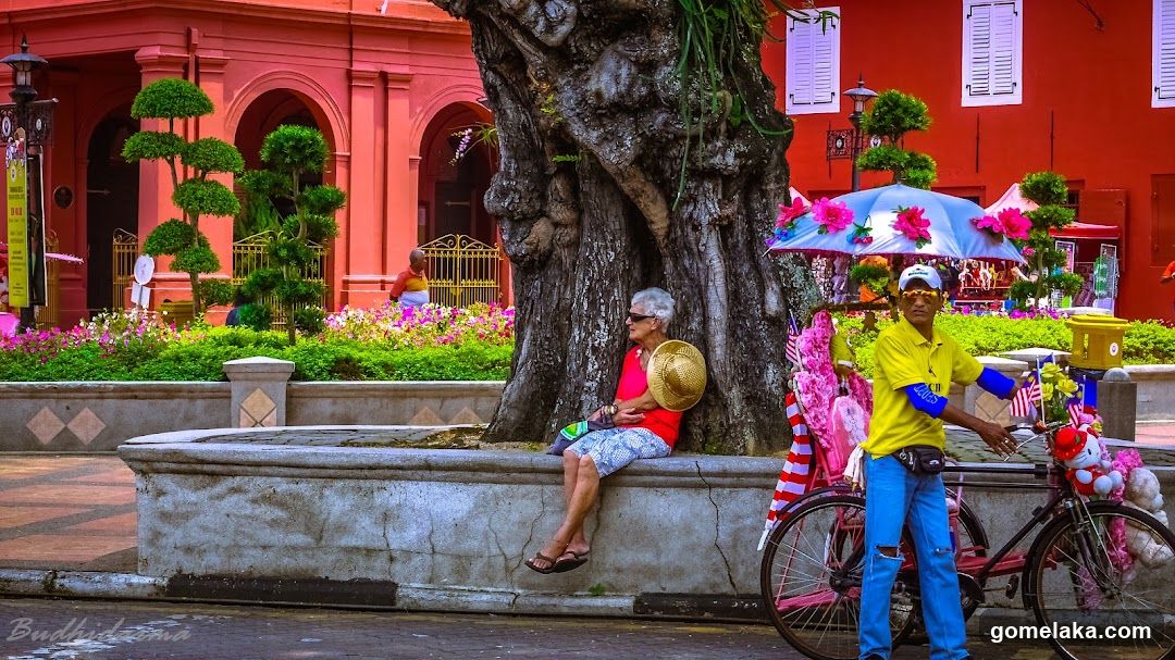 Street Scene with Tree and Bicycle
