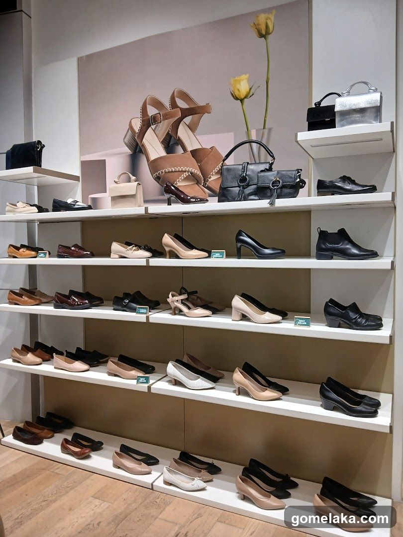 Interior Shoe and Handbag Display