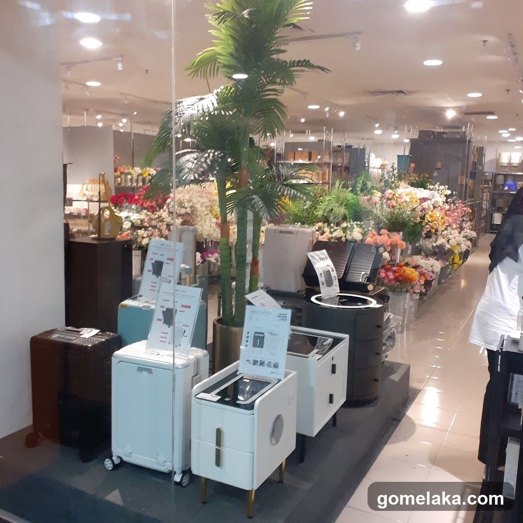Interior of a retail store