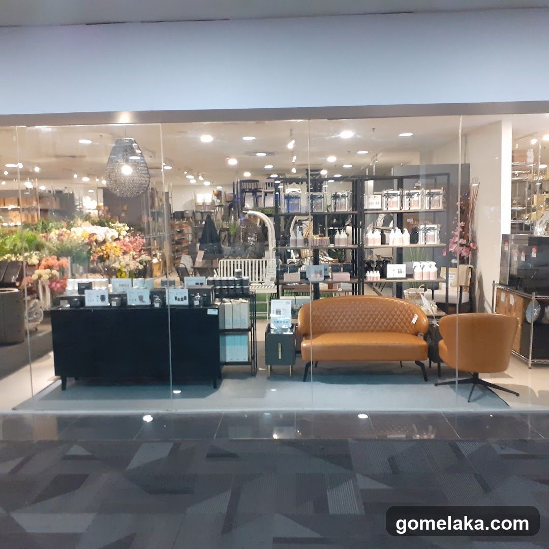 Storefront Interior View