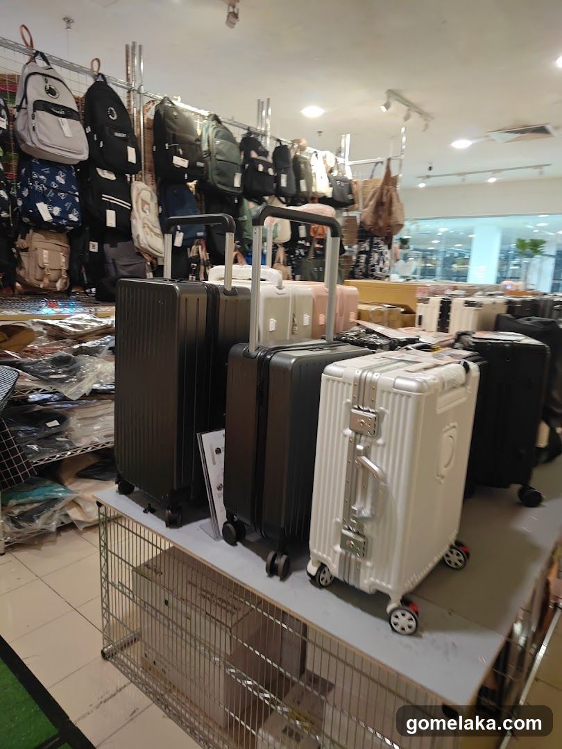 Luggage and Bags Store Interior