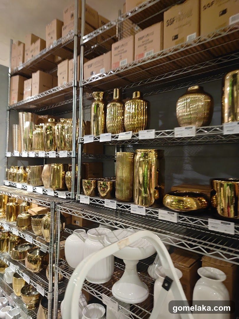 Store Interior with Shelves