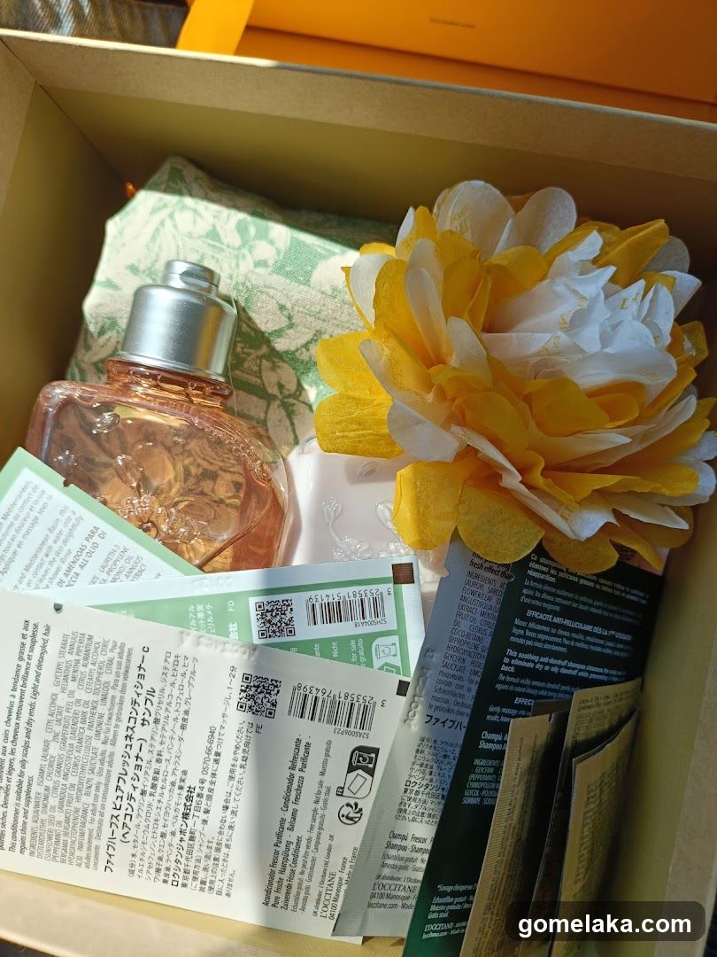 L'Occitane product box contents
