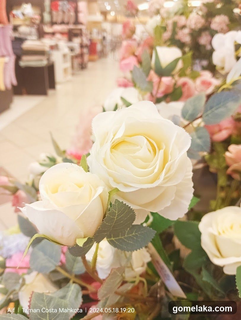 Floral Display in Store Interior