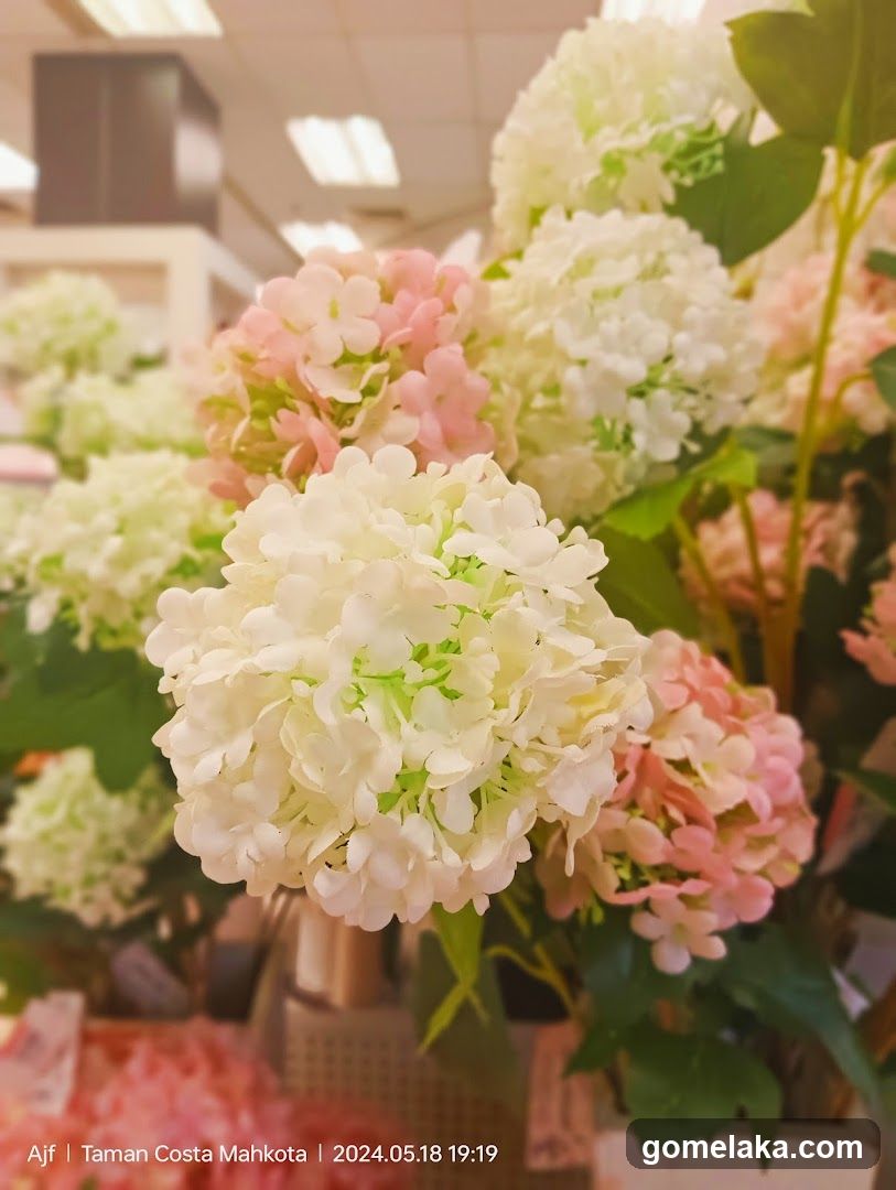 Floral Display in Indoor Setting