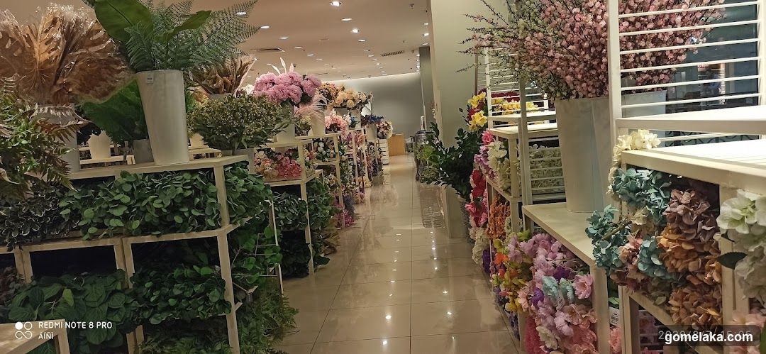 Floral Shop Interior