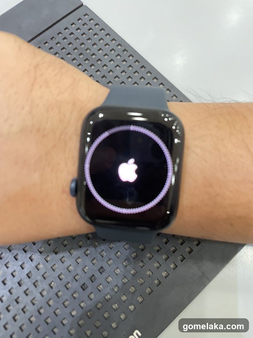 Apple Watch Booting
