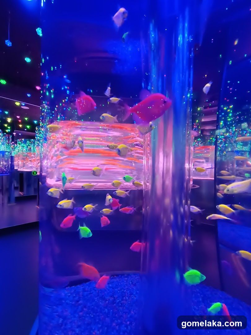 The Shore Oceanarium