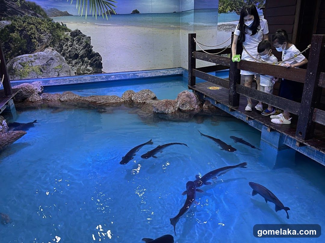 Aquarium exhibit with visitors
