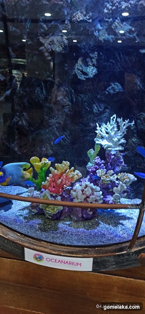 Oceanarium Display