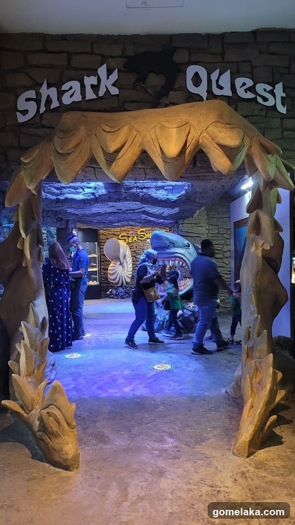 Shark Quest Entrance