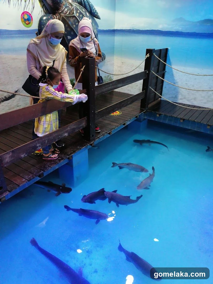 Family viewing aquarium exhibit