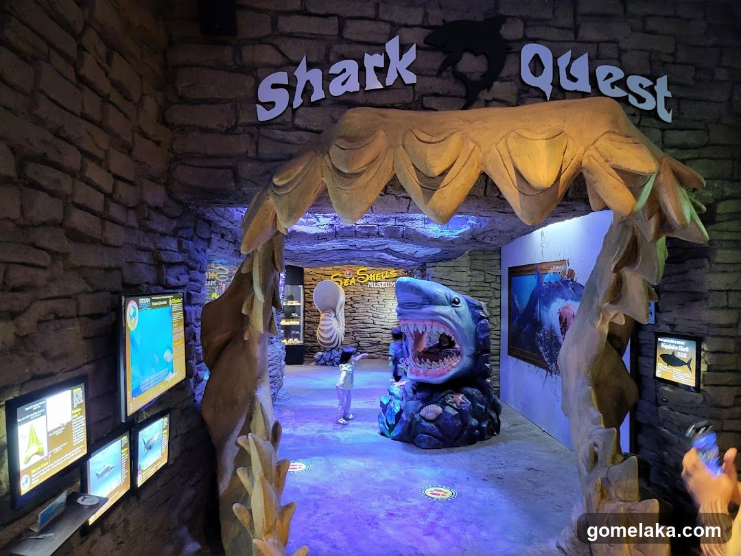 Shark Quest Entrance
