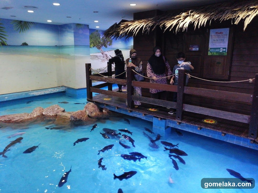 Indoor Aquarium Exhibit