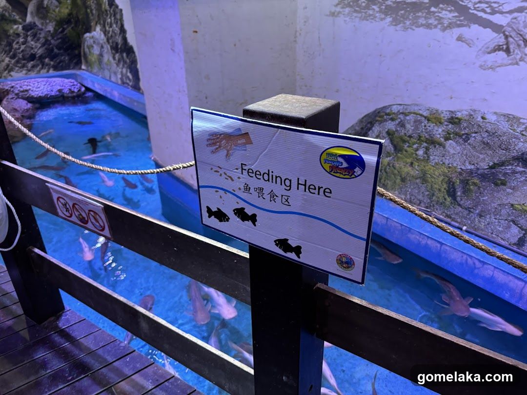 Aquarium Feeding Area Sign