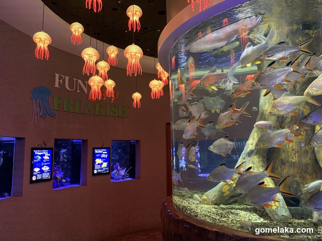 Aquarium Interior