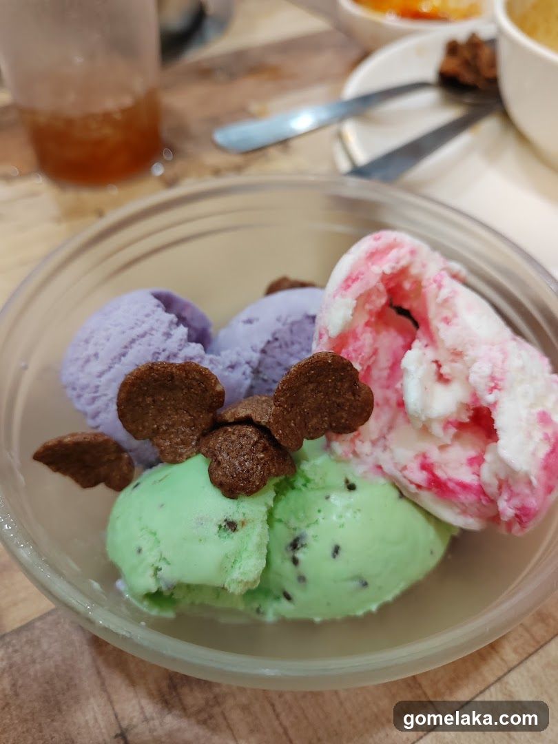 Ice Cream Bowl