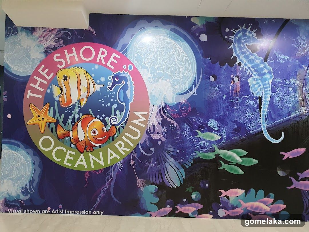 The Shore Oceanarium Wall Art