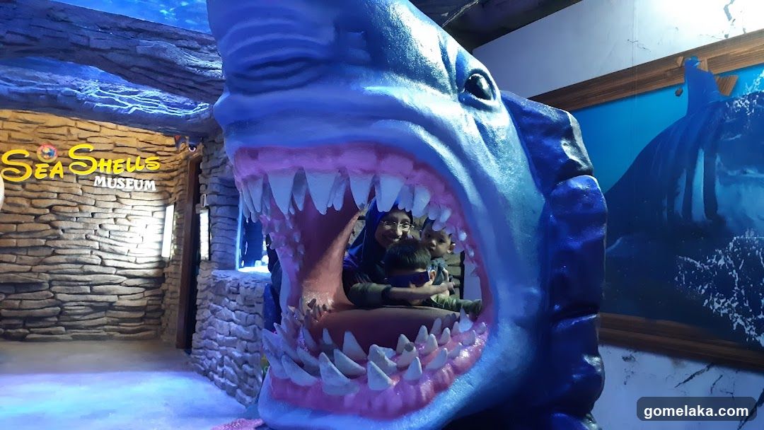Sea Shells Museum Interior