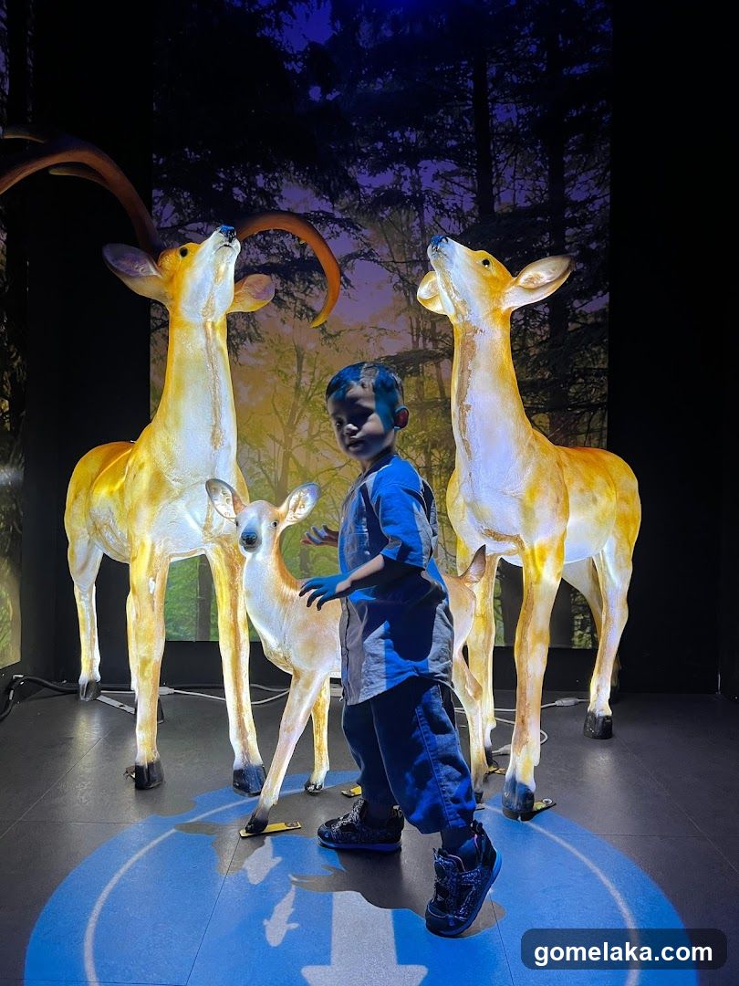 Child with illuminated deer statues
