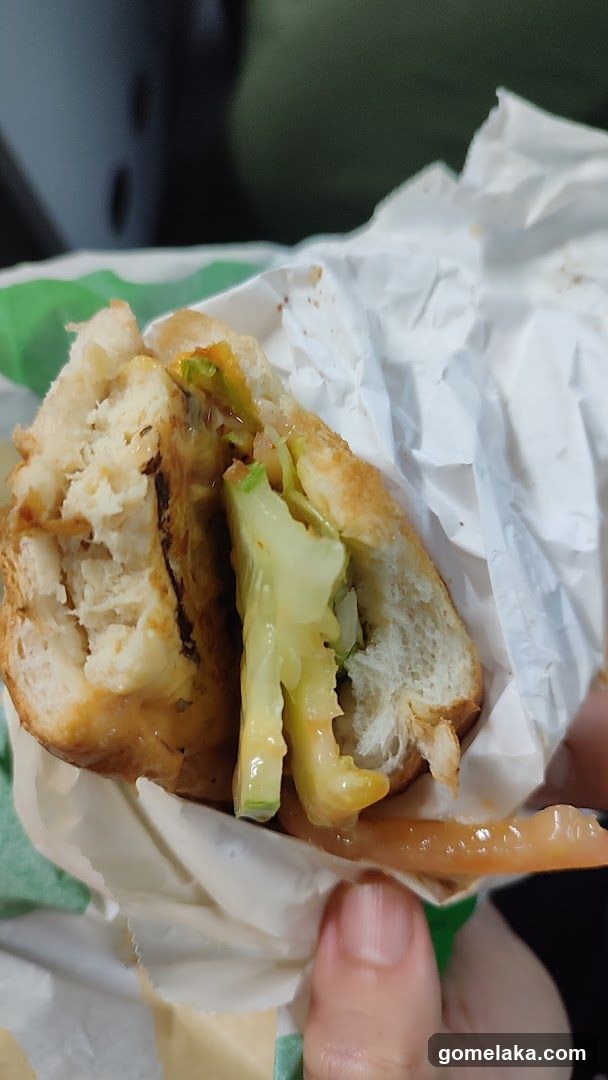 Hand holding a partially eaten sandwich