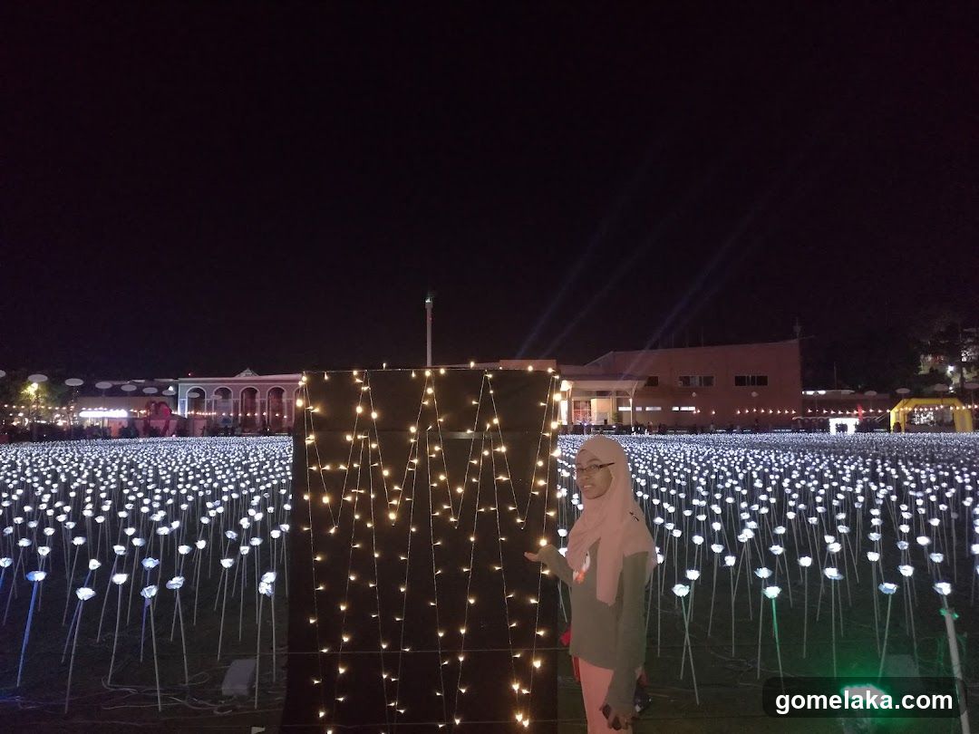 Nighttime Light Installation