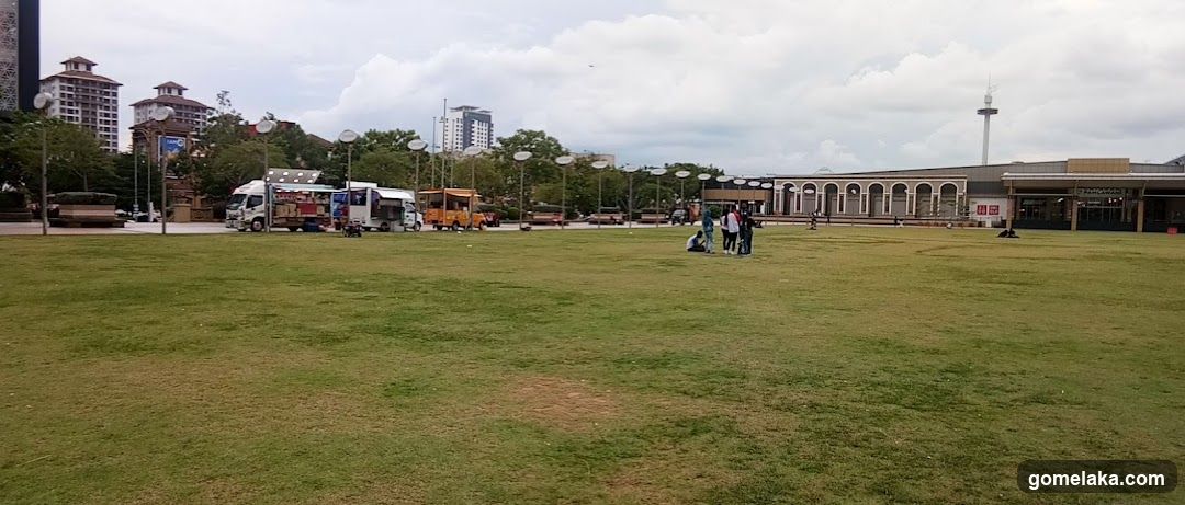 Open Grass Field with Urban Background