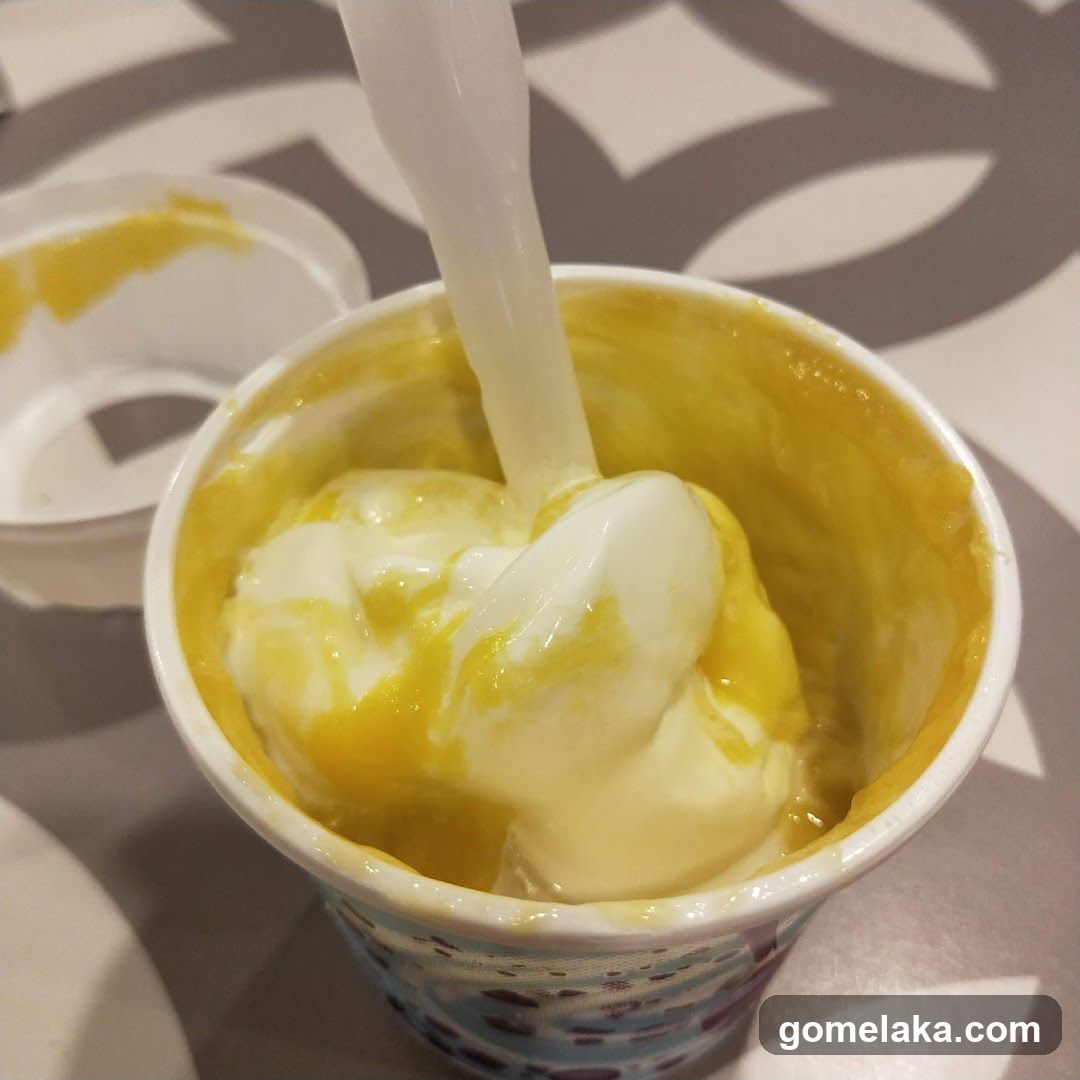Ice Cream Cup with Spoon