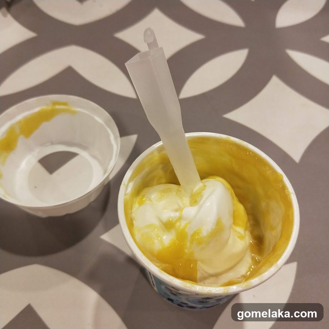 Ice Cream Cup and Lid