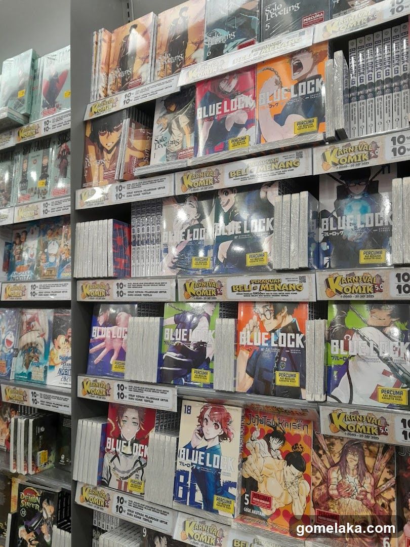 Comic Store Interior Shelf
