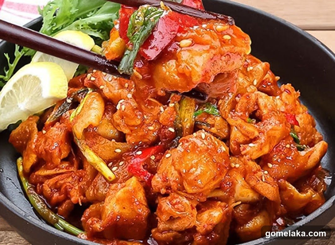 Food Dish