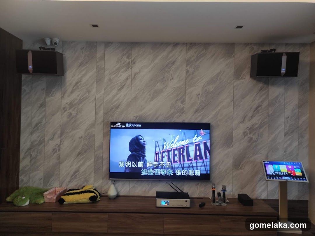 Home Entertainment Room