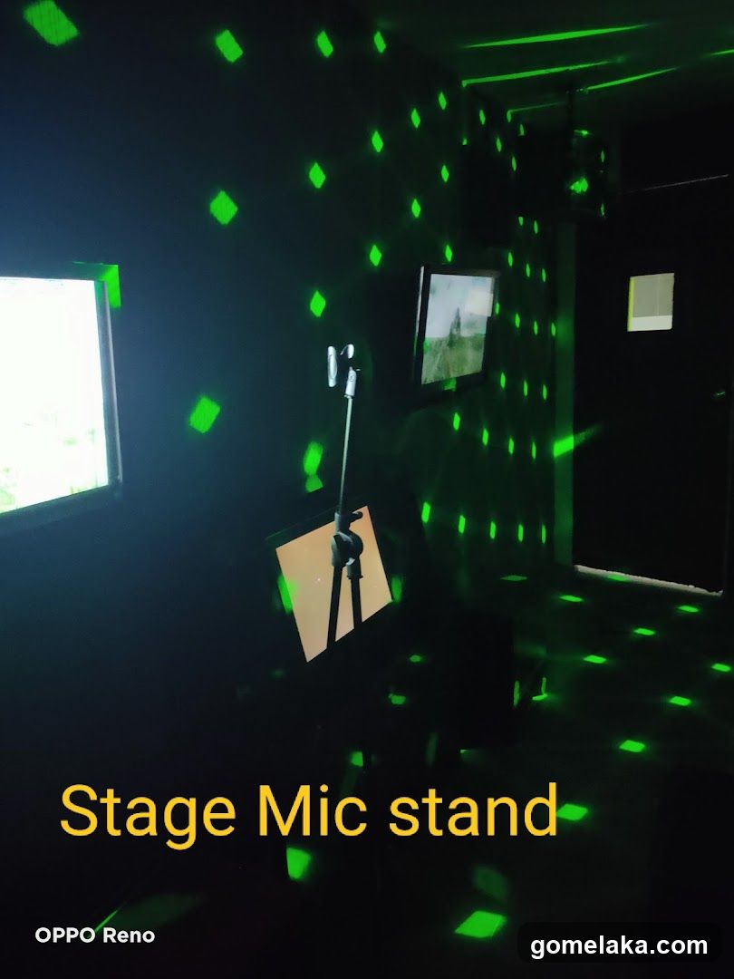 Stage Mic Stand in Dimly Lit Room