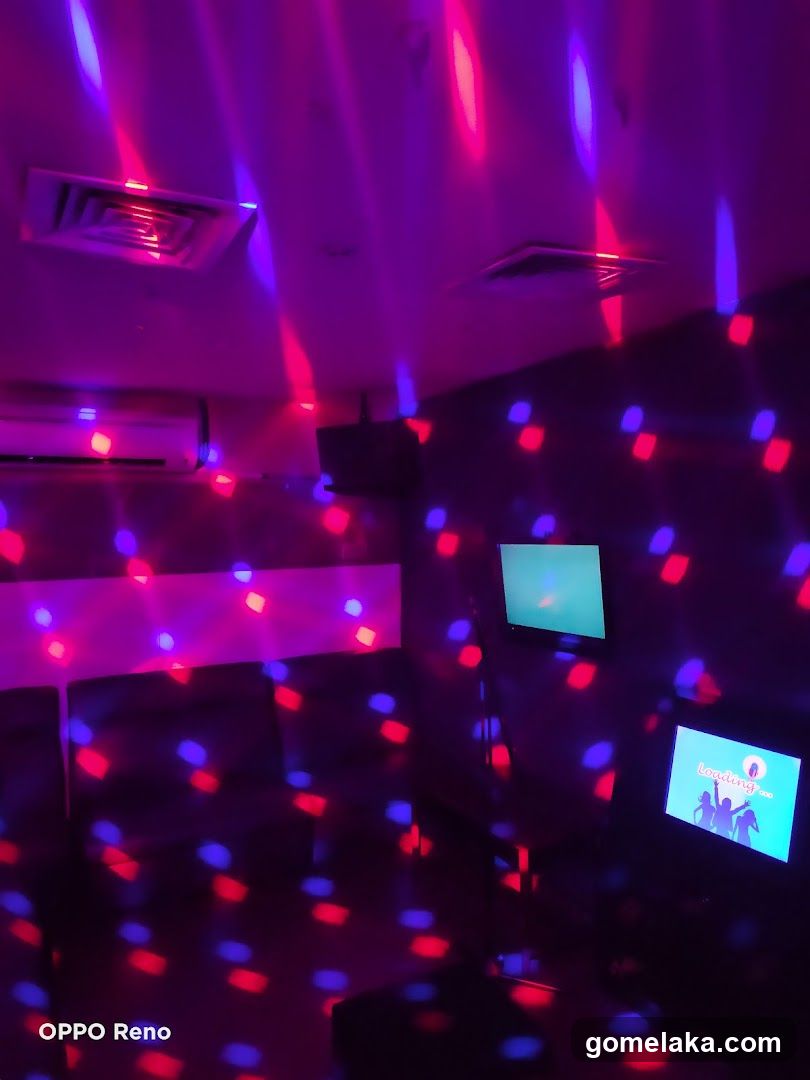 Karaoke Room Interior